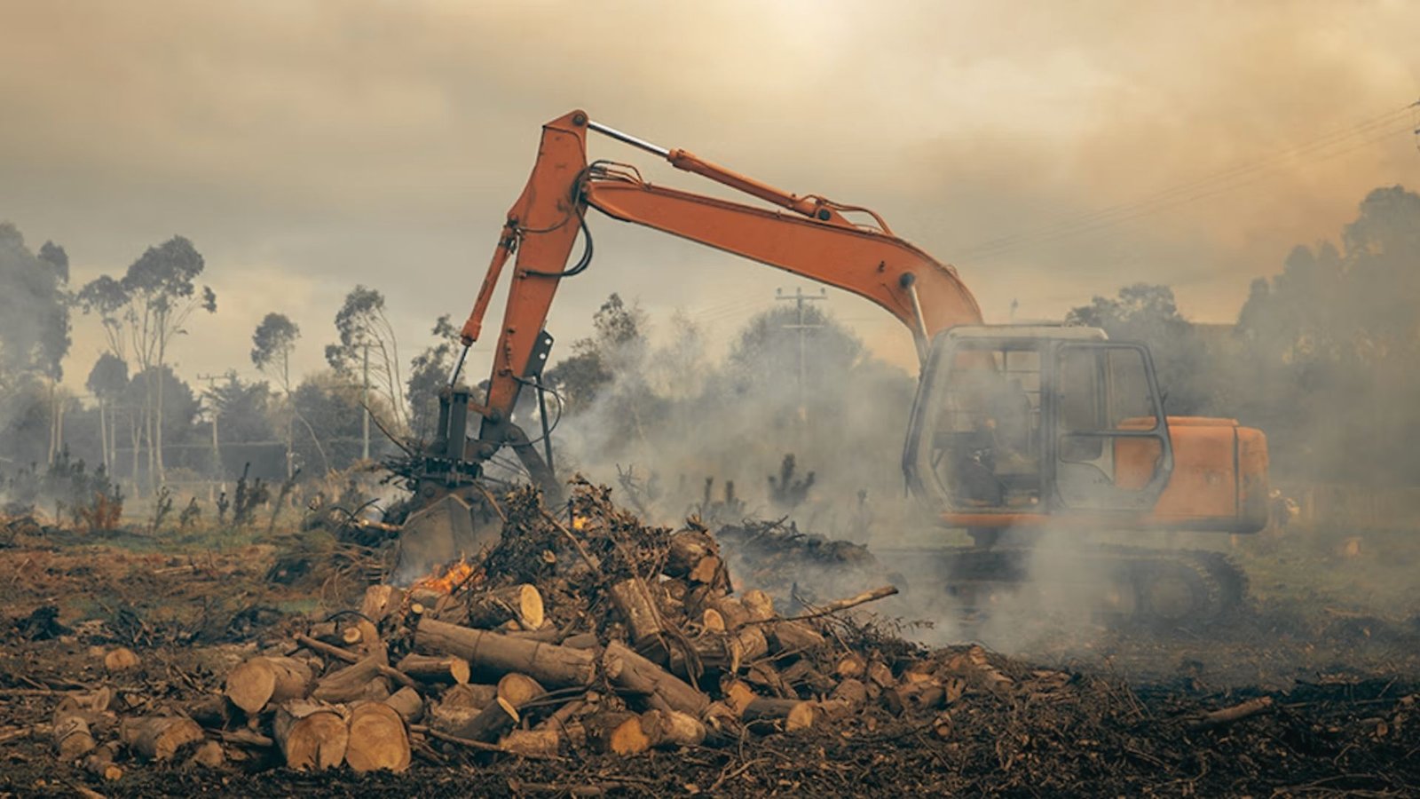 Controlled burning used to clear vegetation from construction land.